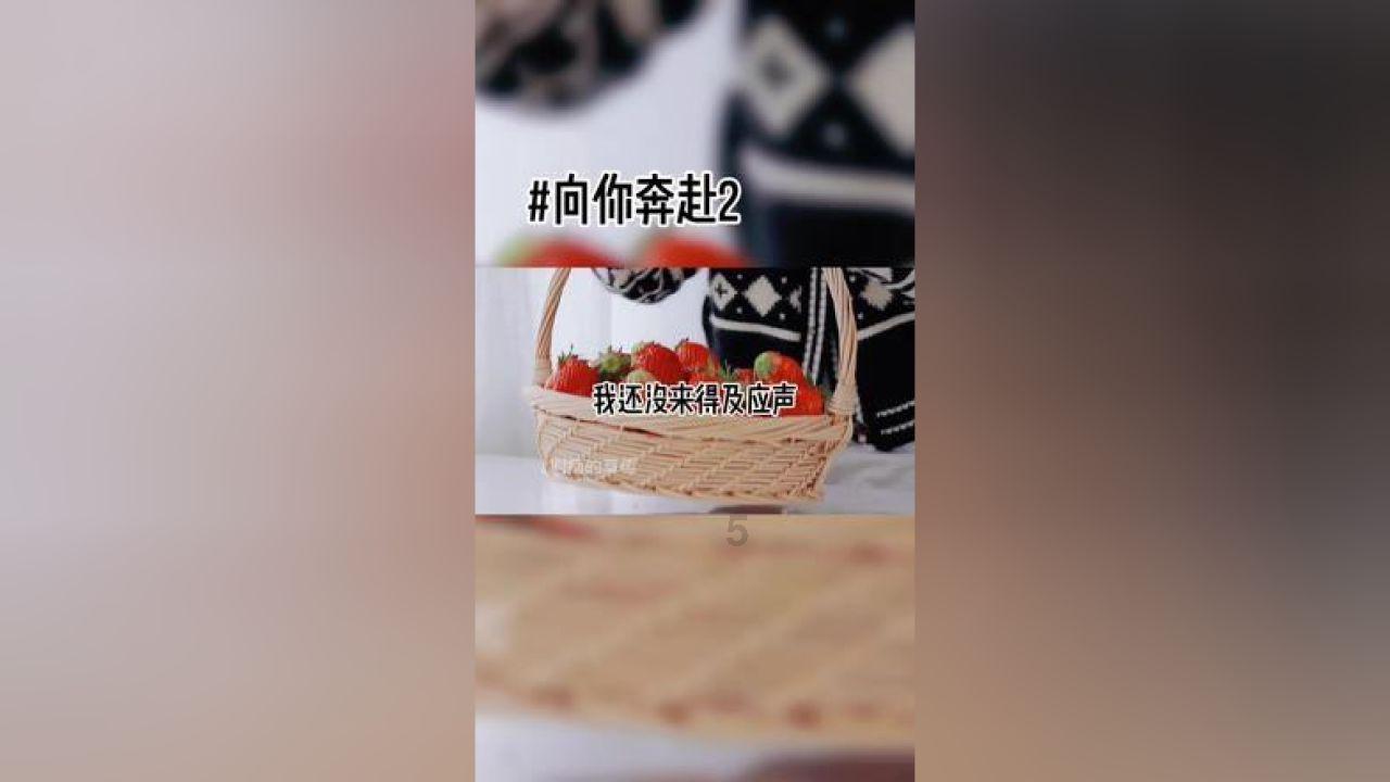 蓝黑军团创3年全胜纪录,关键战反超尤文1分争冠