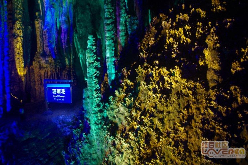 你能逃离此地吗