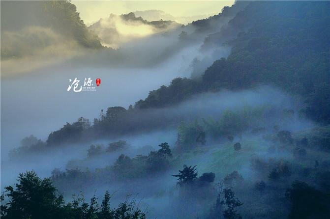 枫叶教育盘中异动 大幅上涨7.85%
